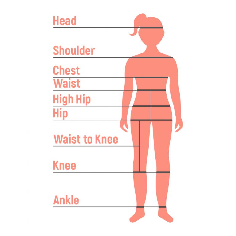 determine body shape by measurements